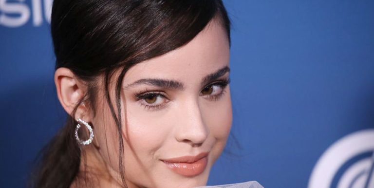 Sofia Carson Cosmetic Surgery