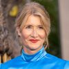 Laura Dern Plastic Surgery