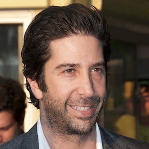 David Schwimmer Plastic Surgery Face