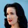 Dita Von Teese Cosmetic Surgery