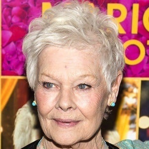 Judi Dench Plastic Surgery Face