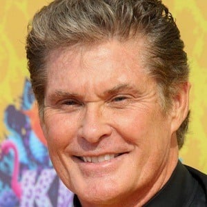 David Hasselhoff Plastic Surgery Face